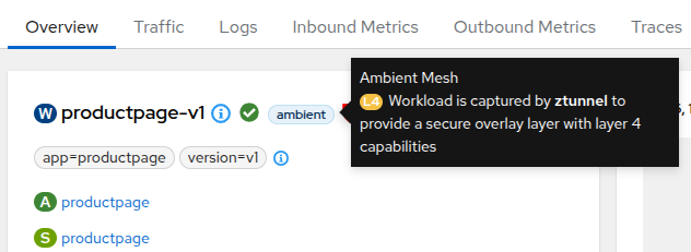 Workload Captured by Ambient